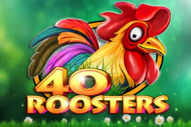 40roosters