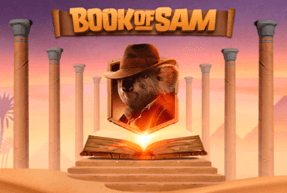 bookofsam