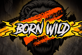 bornwild94