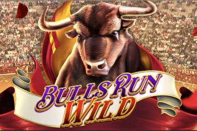 bullsrunwild