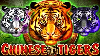 chinesetigers