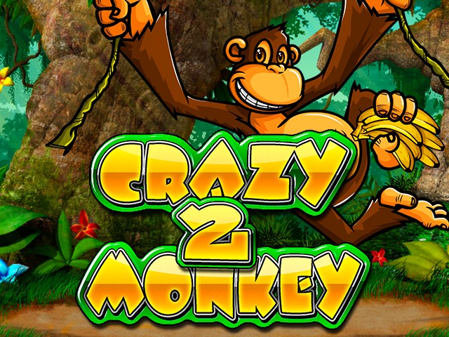 crazymonkey2