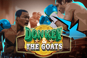 donkeythegoats