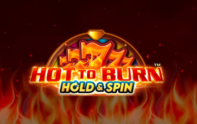 hottoburnholdspin