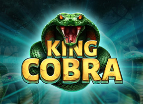 kingcobra