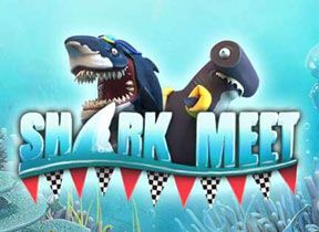 sharkmeet