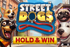 streetdogs