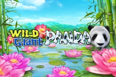 wildgiantpanda